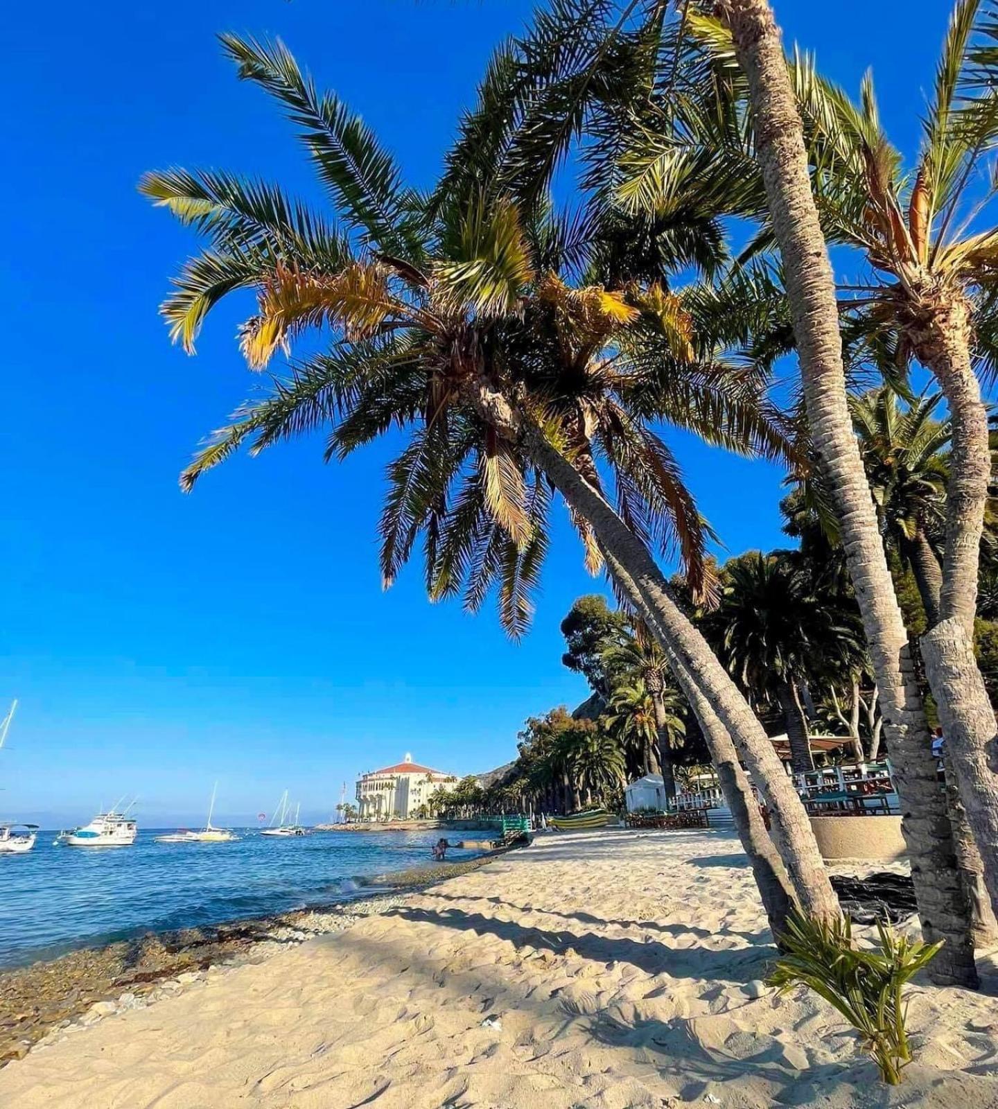 Lux Oceanfront Penthouse Suite Wpanoramic Views 阿瓦隆 外观 照片